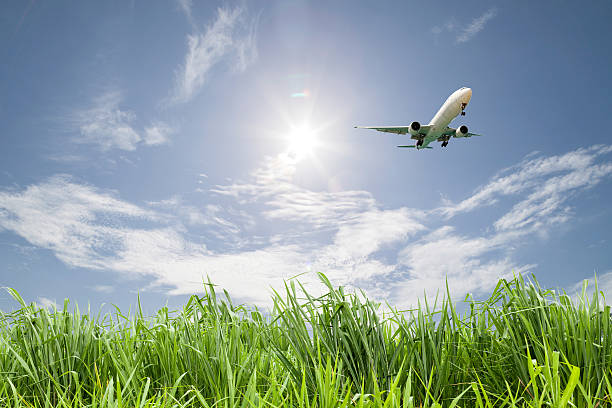 airplane flying over a field of grasses