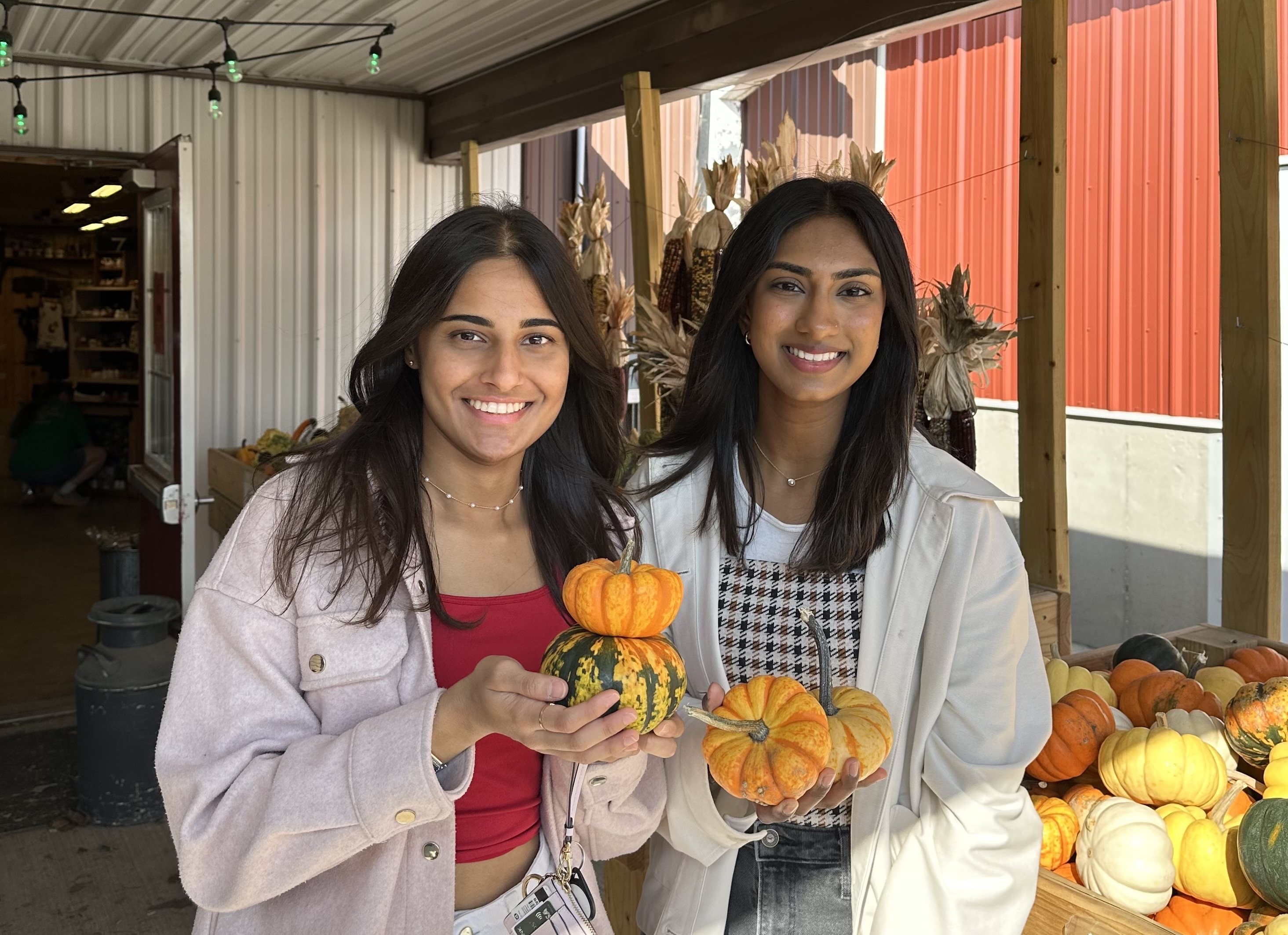 pumpkin shopping