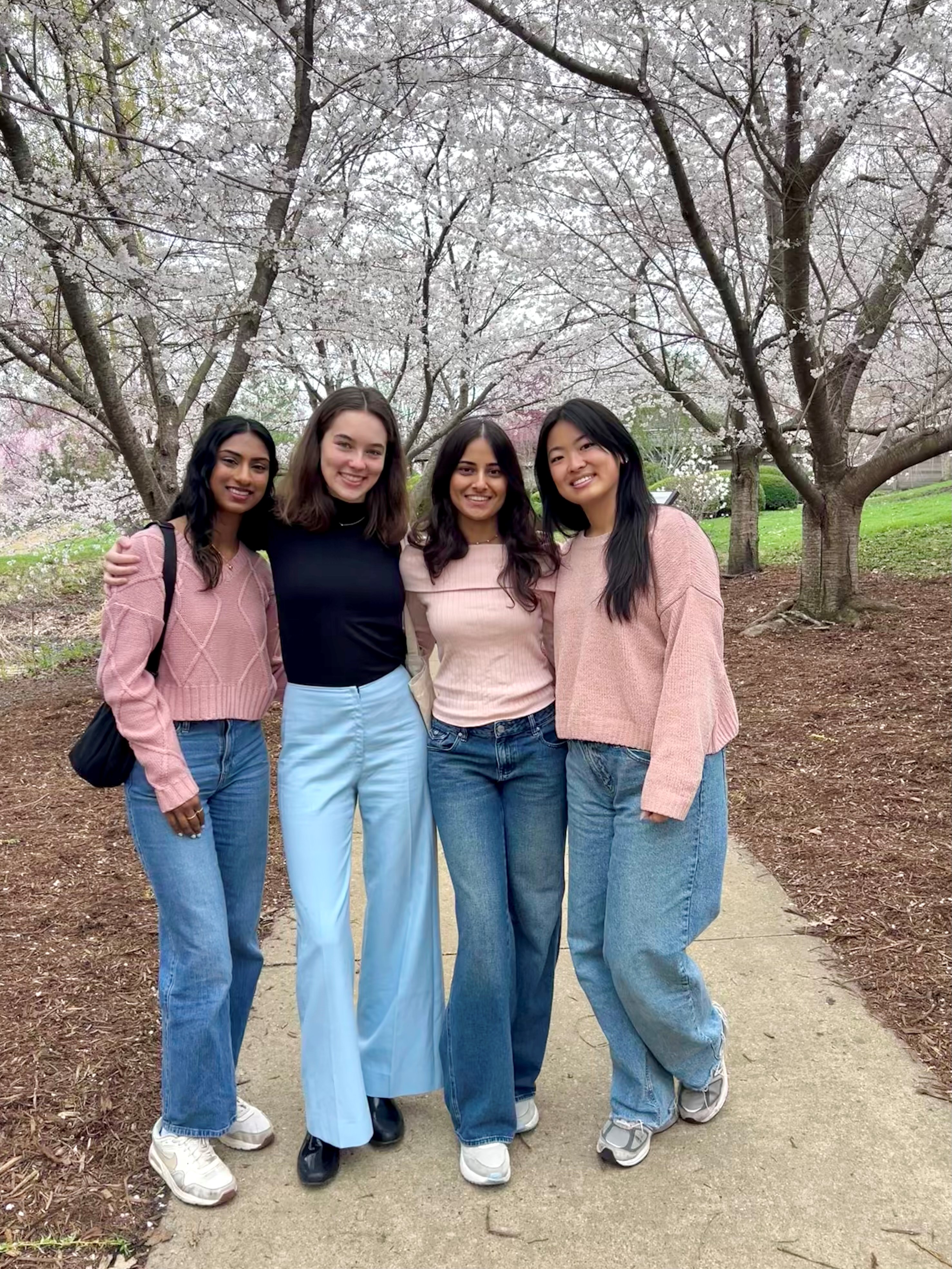 group in Urbana's Japanese Gardens with cherry blossoms
