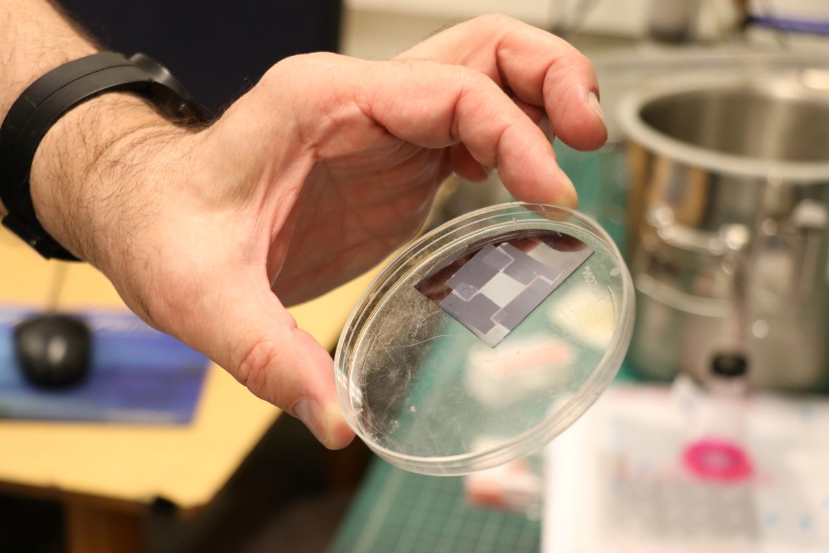 Handheld Petri dish shows the size of a printed nanofiber network in the lighter-colored rectangle surrounded by darker rectangles
