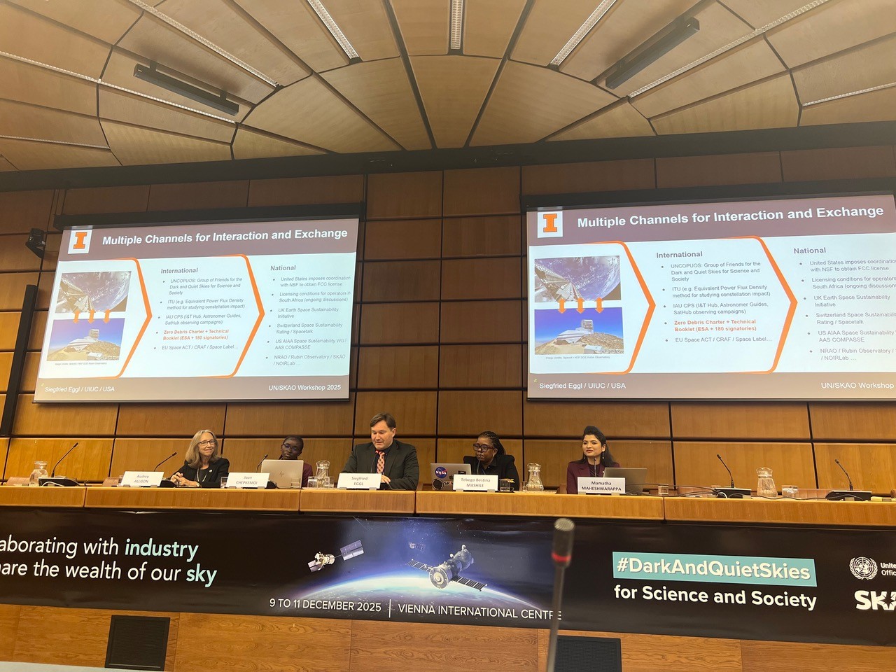 panel of experts, Siegfried Eggl center speaking