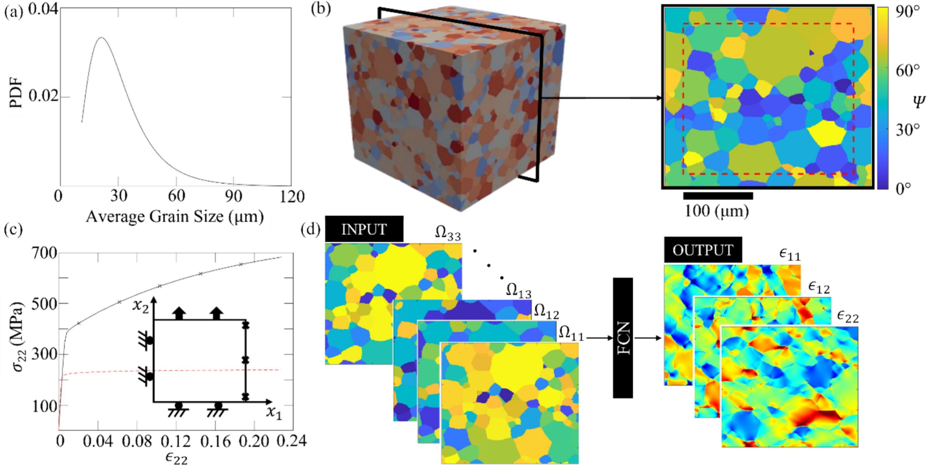 A look at the process to generate training data for the machine learning model using fully convolutional networks: (a) Distribution curve used to generate the crystals, (b) Sample polycrystals (microstructures) used for training, (c) Material properties for computation simulations and (d) Inputs and output of the fully convolutional network.