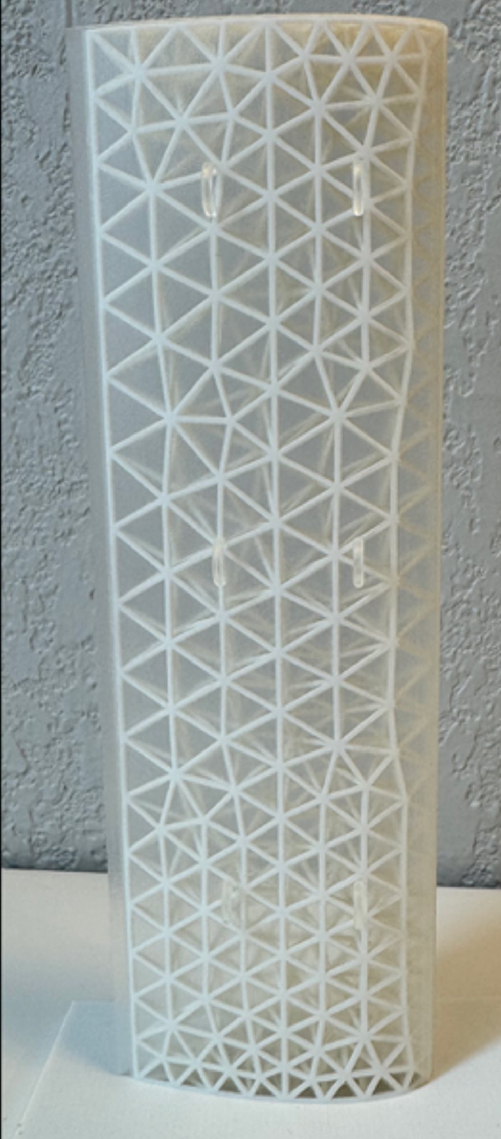 Additively manufactured bird-bone-inspired wings.