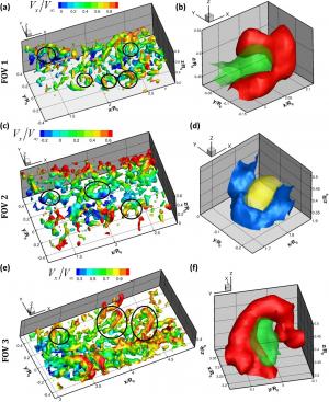 Examples of instantaneous 3-D measurement volumes demonstrating a large number of hairpin-shaped vortex structures