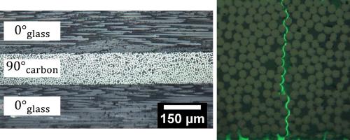 Left: Optical image of a composite laminate used in the transverse failure experiments. Right: Representative image of a transverse crack spanning the 90 ply. As apparent from this optical image, the transverse cracks extend primarily along fiber/matrix interfaces.