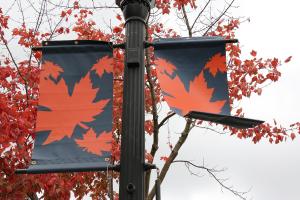 Flapping flag illustrates fluid-structure interaction. Photo: Debra Levey Larson