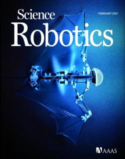 The robotic â€œbio-batâ€ demonstrates self-contained autonomous flight by mimicking morphological properties of flexible bat wings. Cover photo reprinted with permission from AAAS.