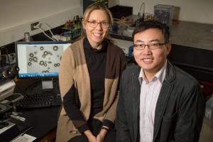 Nancy Sottos and Wenle Li 