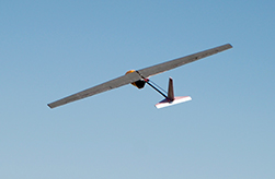 Ducted fan powered sailplane.