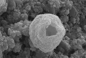 A scanning electron microscope photograph shows the nanostructured microporous surface morphology of the proposed composite adhesives.