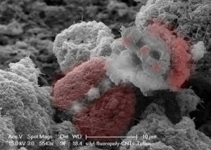 Nano-Santa and his bag of nano-tubes: We found Nano-Santa on a superhydrophobic spray coating composed of siliconized fluoropolymer with CNT and Teflon filler particles.