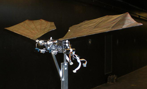 Robotic bat
