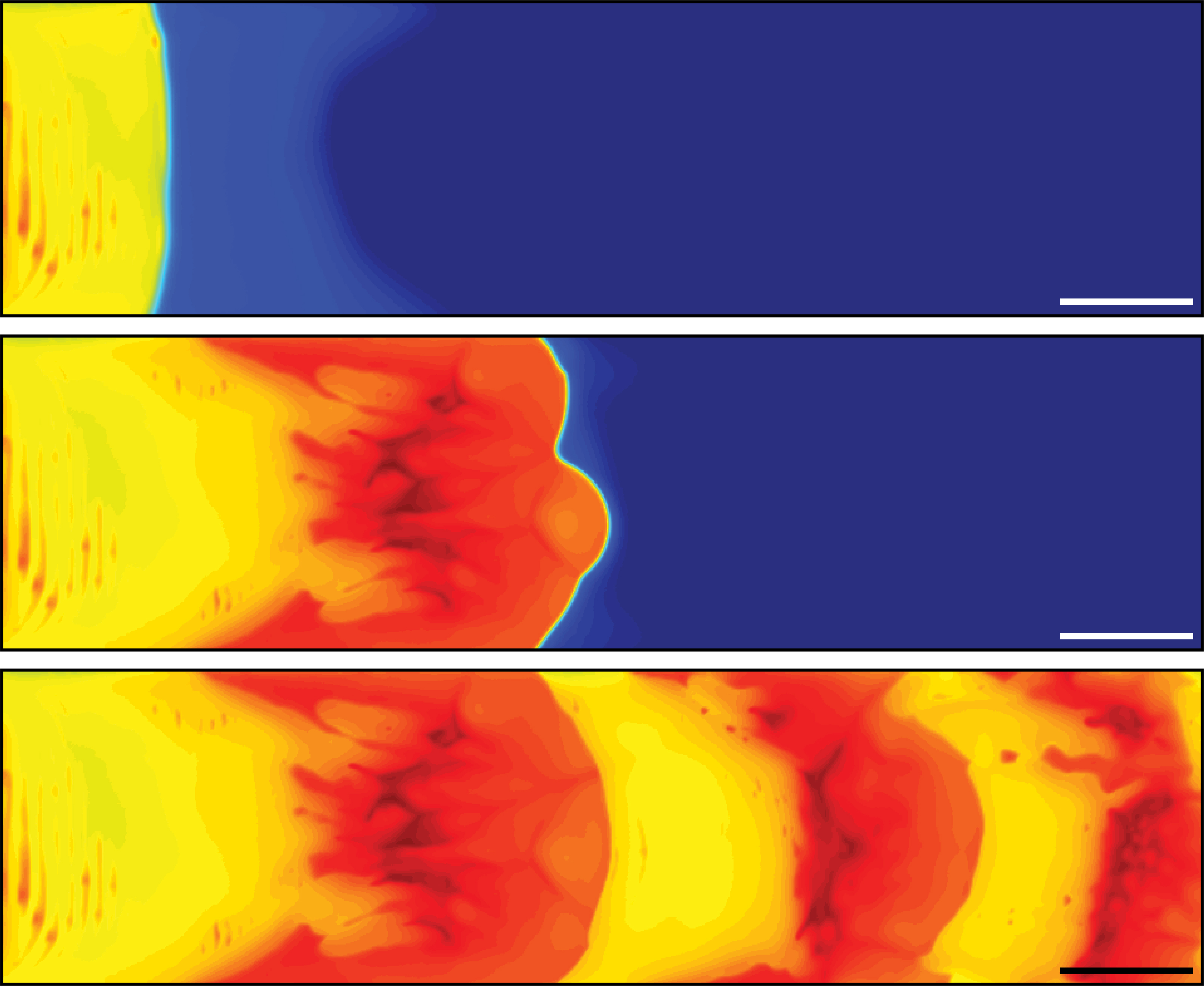 A polymerization front marked by heat gradients (red, higher temperature) allows spontaneous patterning of polymers with variable textures, colors and stiffness. Scale bar, 1 cm. Credit: Adapted from ACS Central Science 2021