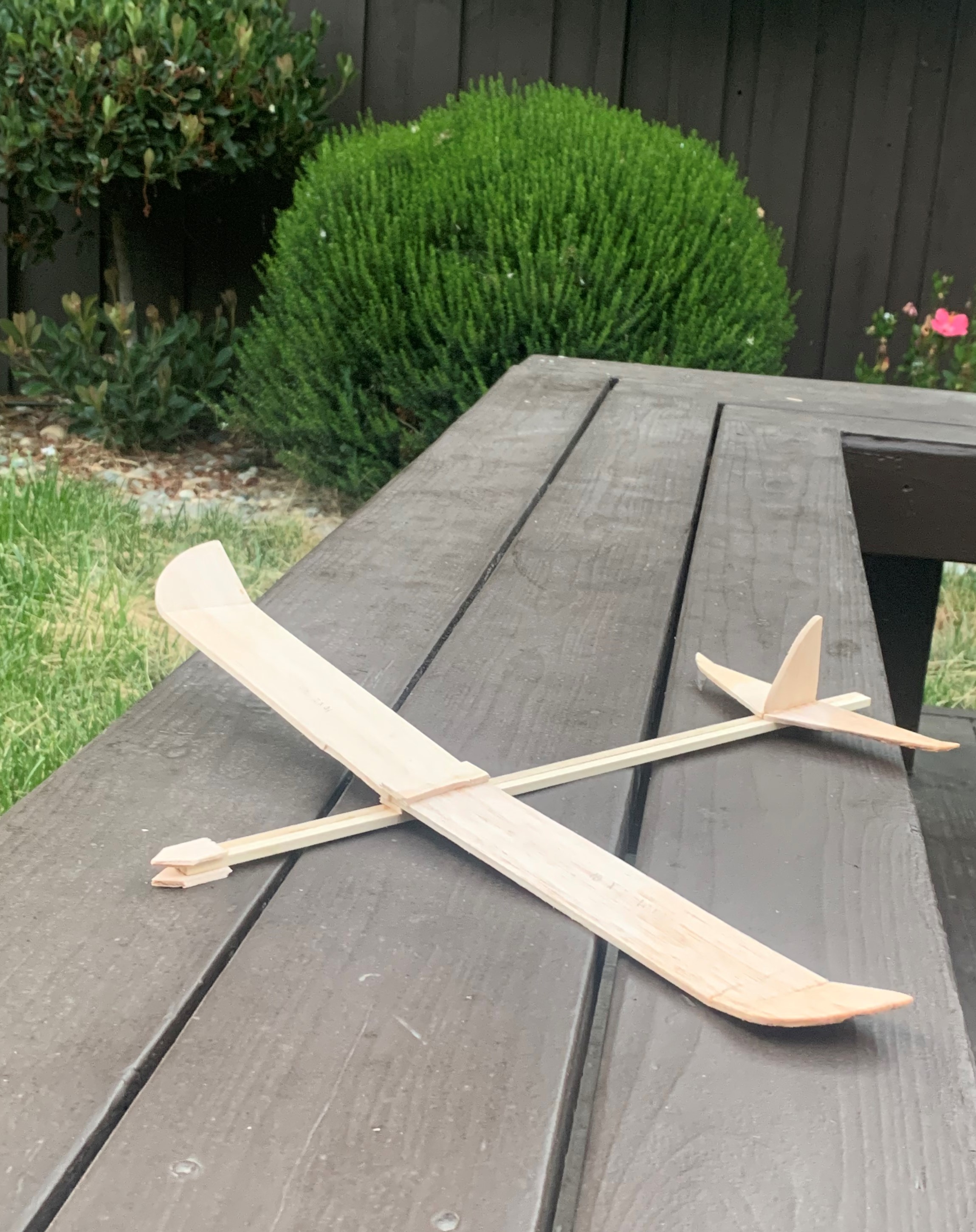 Shreya Modak's glider.