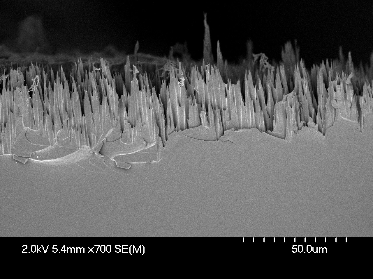 Erosive effect of the combined action of atomic oxygen and UV radiation on a hard polymer sample mounted at the leading edge of the International Space Station.