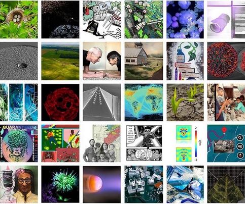 2022 Image of Research semifinalists