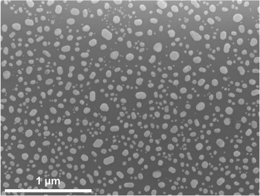 SEM image of gold nanoparticles formed on an SiO2 substrate via thermally induced de-wetting of a gold film. 