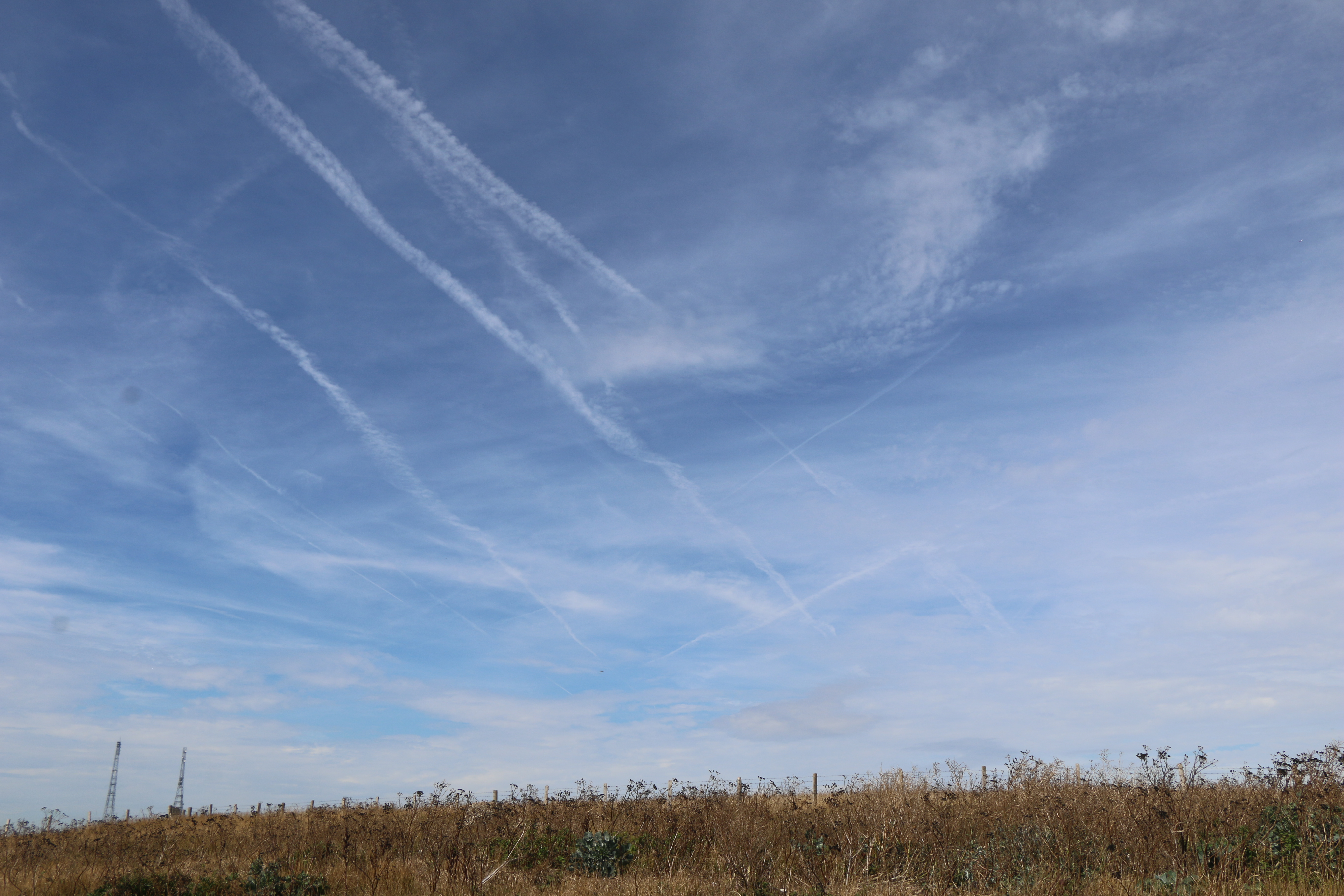 sky with numerous contrails