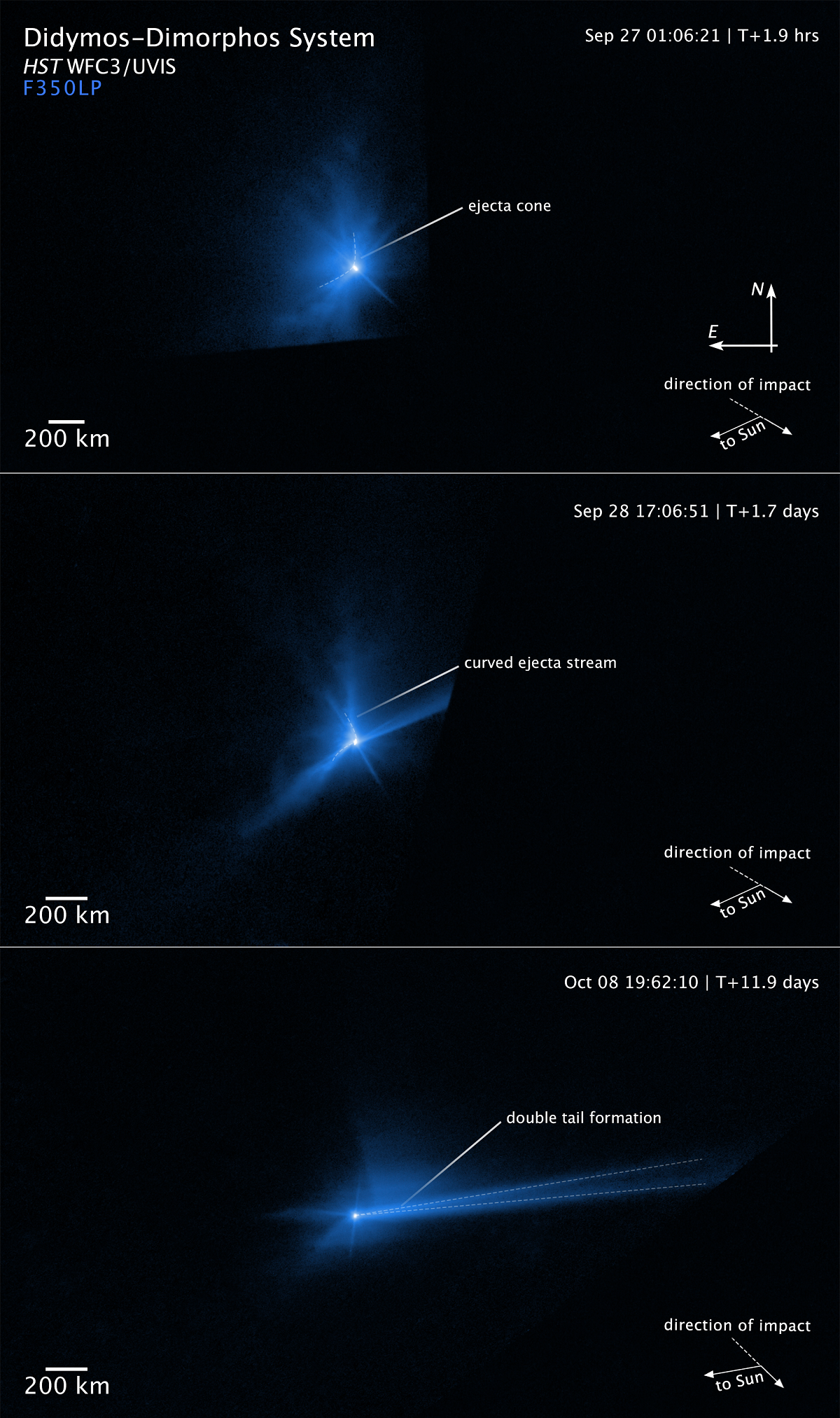 These three panels capture the breakup of the asteroid Dimorphos when it was deliberately hit by NASA's 1,200-pound Double Asteroid Redirection Test mission spacecraft on September 26, 2022. Hubble Space Telescope had a ringside view of the space demolition derby. The top panel, taken 2 hours after impact, shows an ejecta cone of an estimated 1,000 tons of dust. The center frame shows the dynamic interaction within the asteroid's binary system that starts to distort the cone shape of the ejecta pattern about 17 hours after the impact. The most prominent structures are rotating, pinwheel-shaped features. The pinwheel is tied to the gravitational pull of the companion asteroid, Didymos. In the bottom frame Hubble next captures the debris being swept back into a comet-like tail by the pressure of sunlight on the tiny dust particles. This stretches out into a debris train where the lightest particles travel the fastest and farthest from the asteroid. The mystery is compounded when Hubble records the tail splitting in two for a few days.