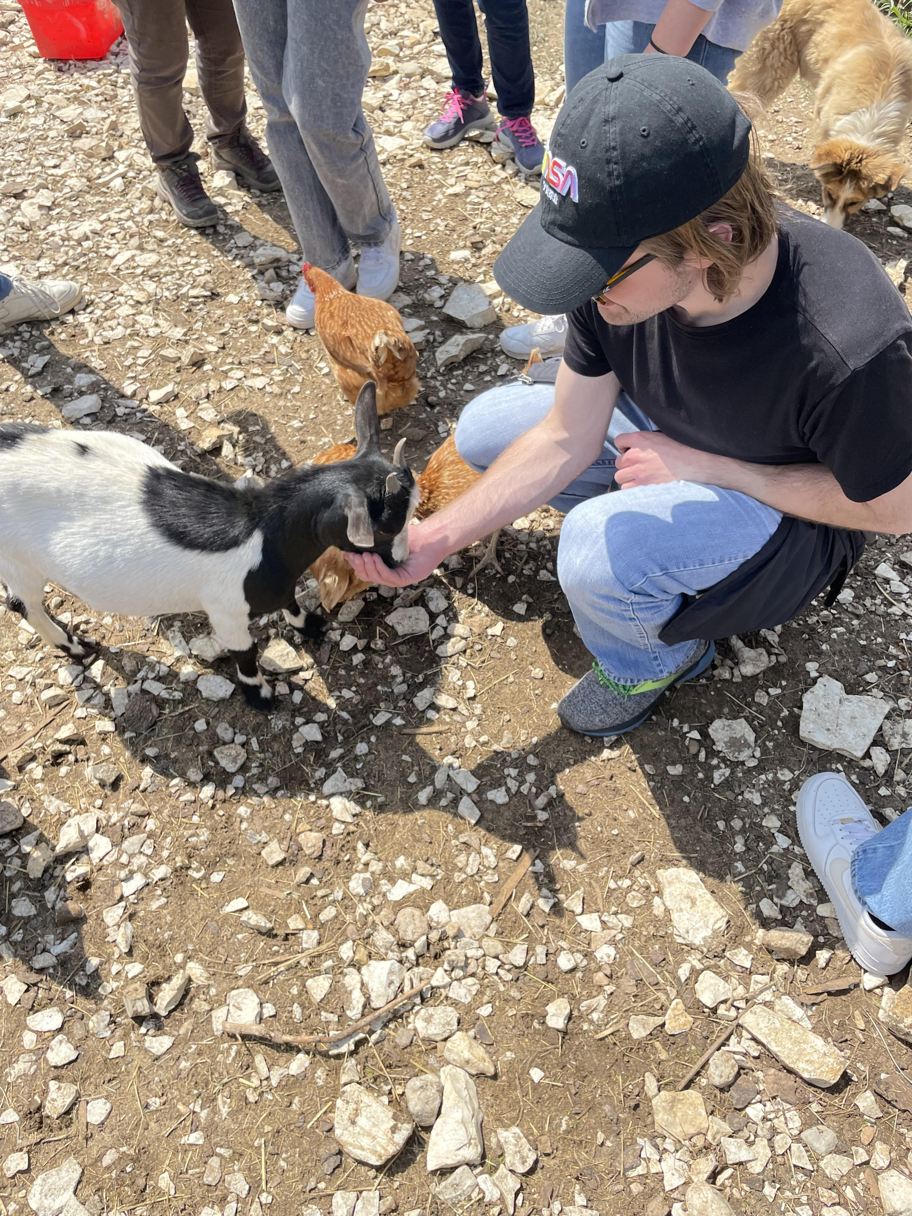 O'Donnell feeding animals during his global leadership training to be a Lead Engineering Learning Assistant trip to Lavarone, Italy.
