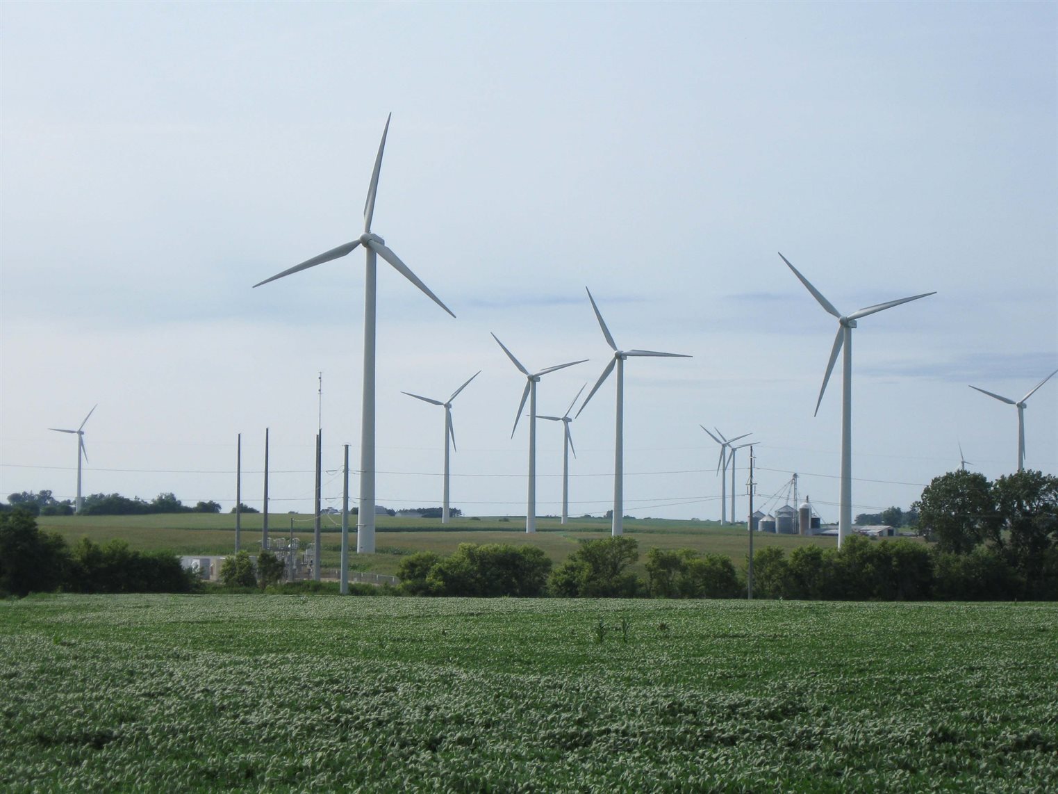 A field of mega-watt wind turbines in Illinois using Selig's patented airfoils. Over 16,500 turbines in this series were produced, many featuring Selig's designs.